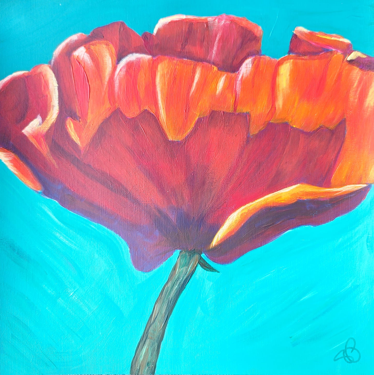 Poppy - 12 x 12 acrylic painting