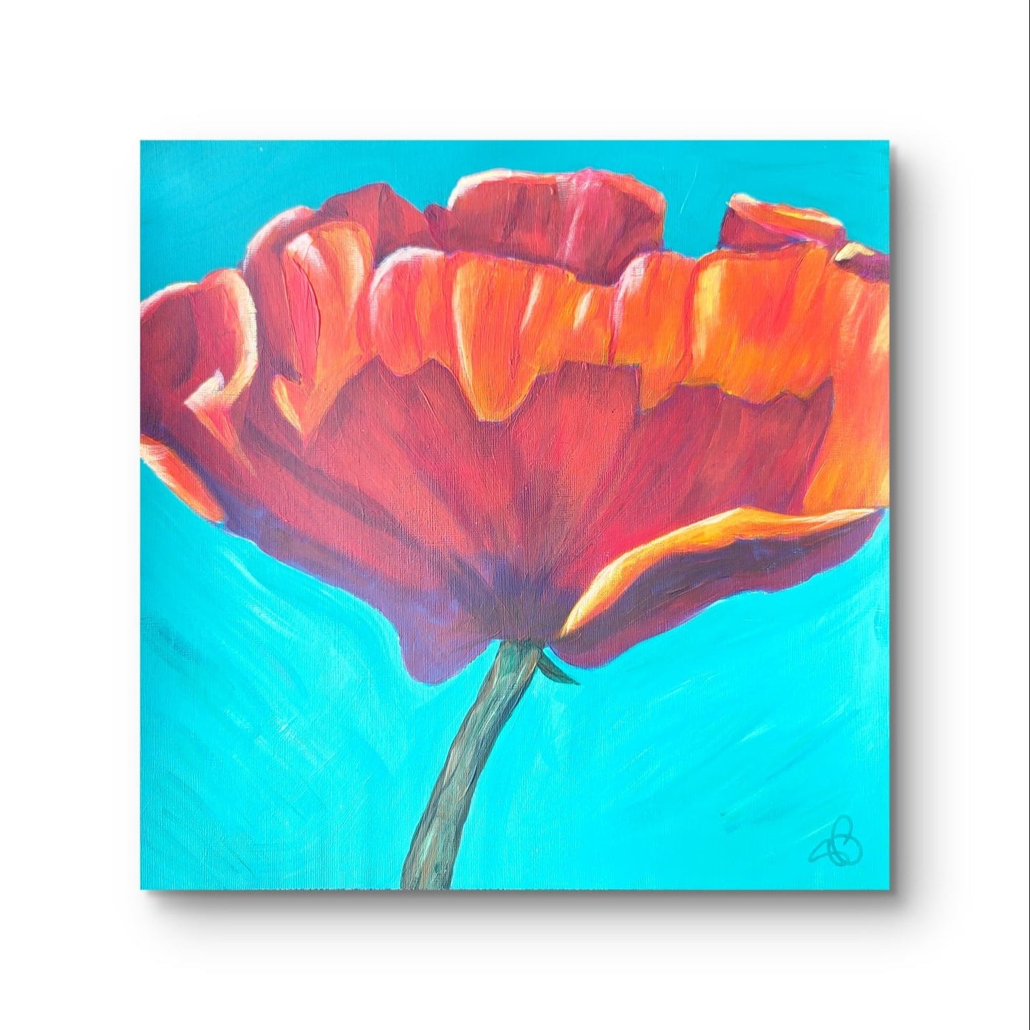 Poppy - 12 x 12 acrylic painting